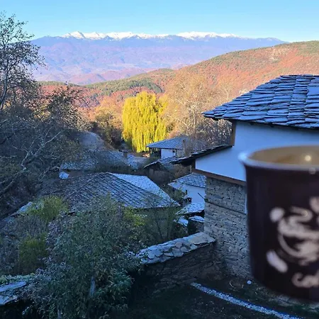 панорама *