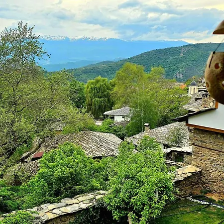 панорама * Leshten